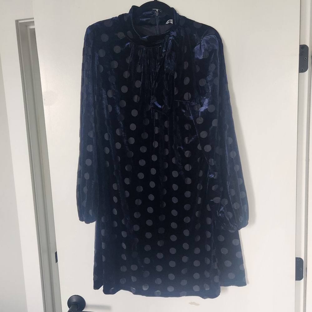 Calvin Klein Polka Dot Velvet Dress